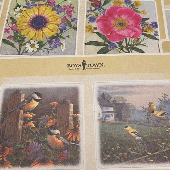 Boys Town Wild Wings Chipboard Drink Coasters 2014 Song Birds/Flowers Set Of 12 - Picture 3 of 8